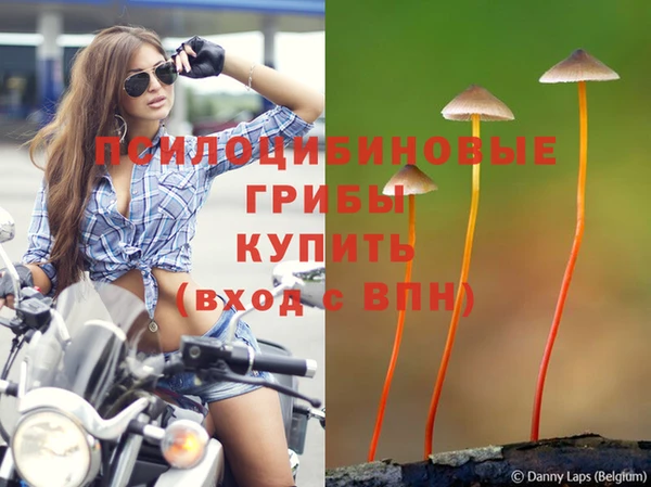 прущие крисы Краснотурьинск
